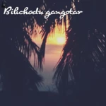 bilichodu gangster android application logo